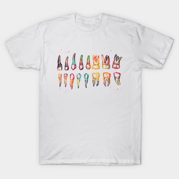 Teeth Diagram T-Shirt by erzebeth